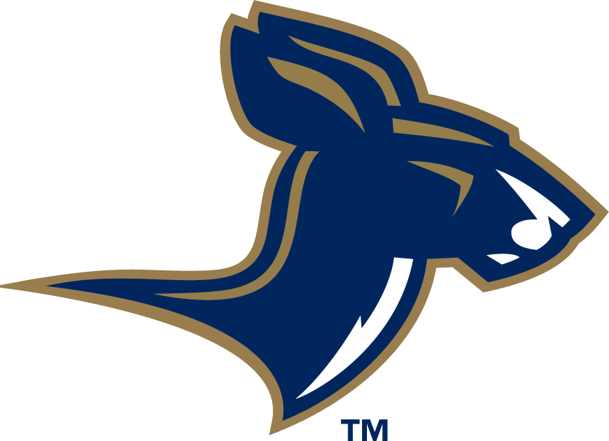 Akron Zips 2002-Pres Alternate Logo v4 iron on transfers for T-shirts